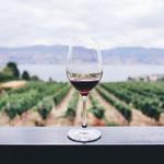 Santa Barbara Classic Wine Tours