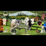 Sweet Valley Ranch