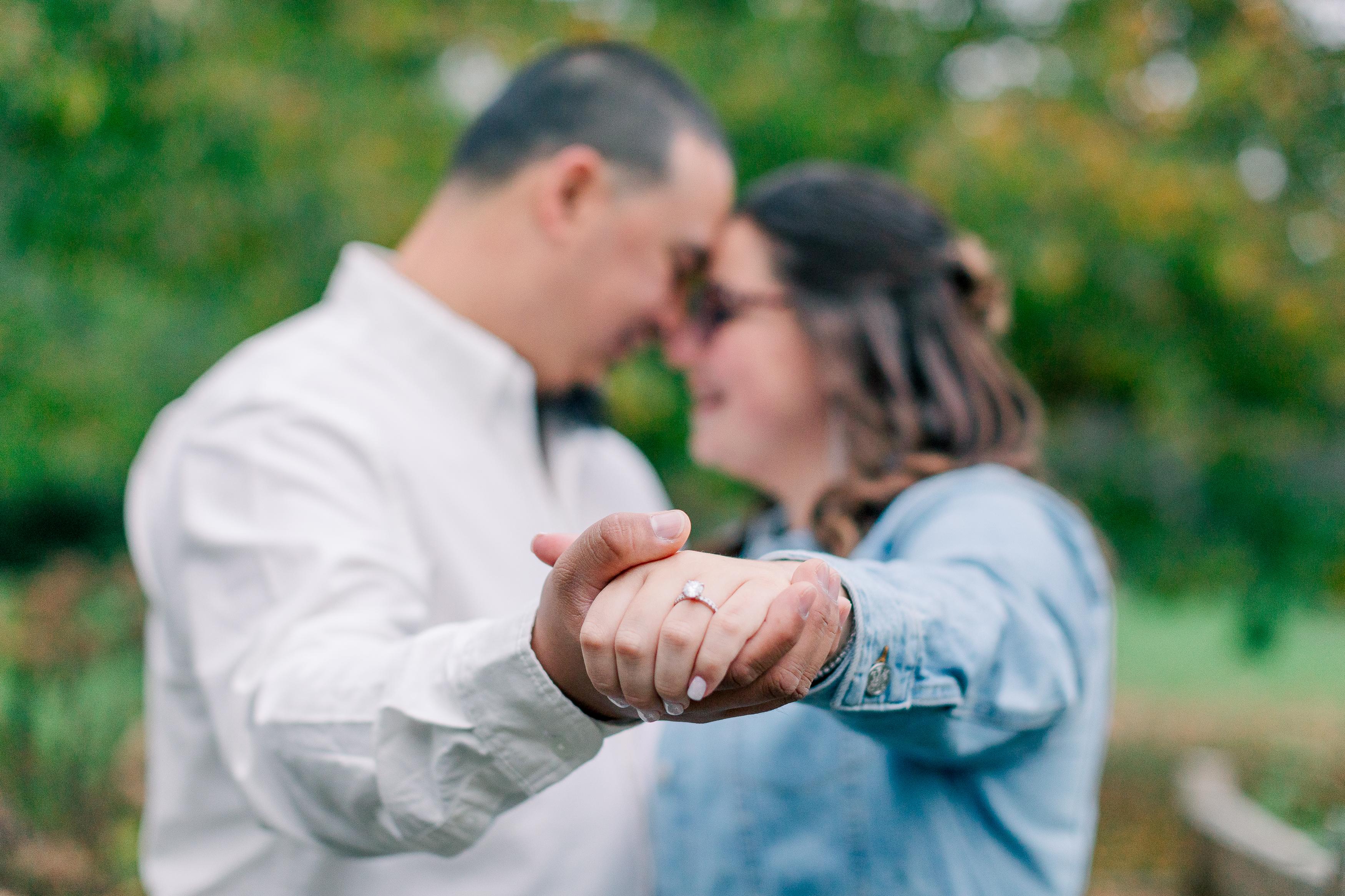 The Wedding Website of Anthony Boulay and Alyssa Figueiredo