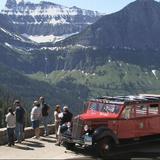 Red Bus Tour