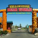 Yellowstone Bear World