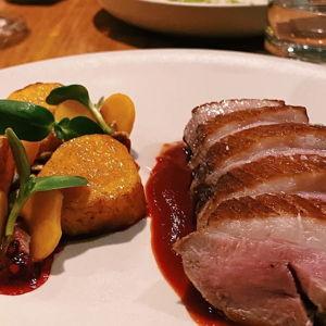Dinner in Ithilien | Honeymoon