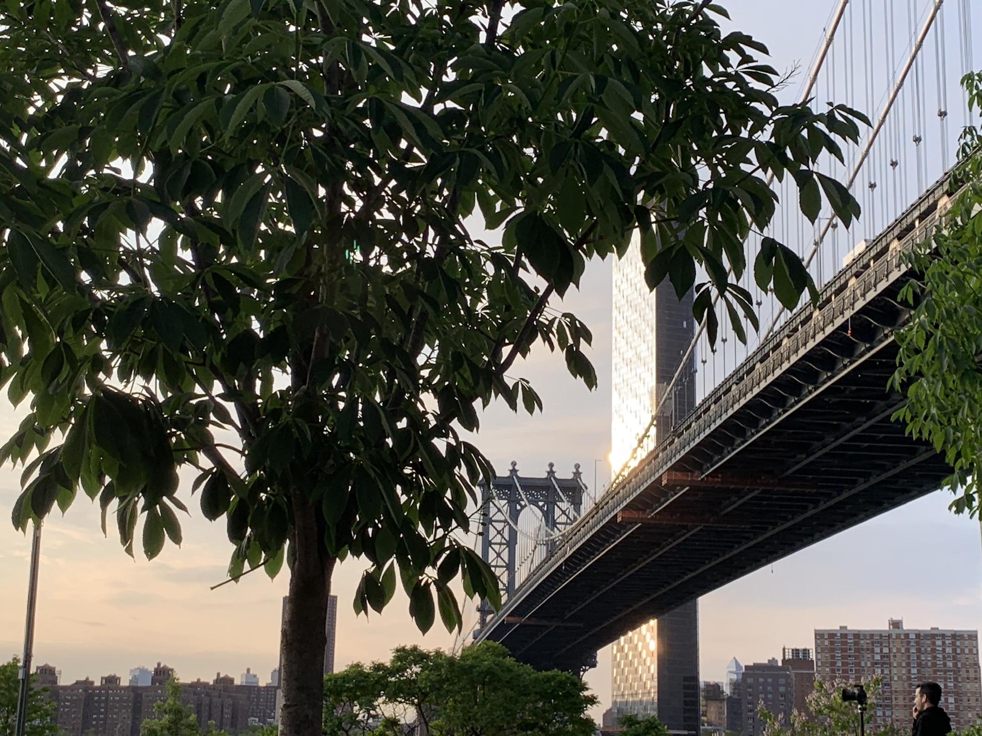 The Wedding Website of Brie Helmuth Moore and Marshall Moore