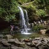 Waterfalls Hikes and Drives in the Smoky Mountains