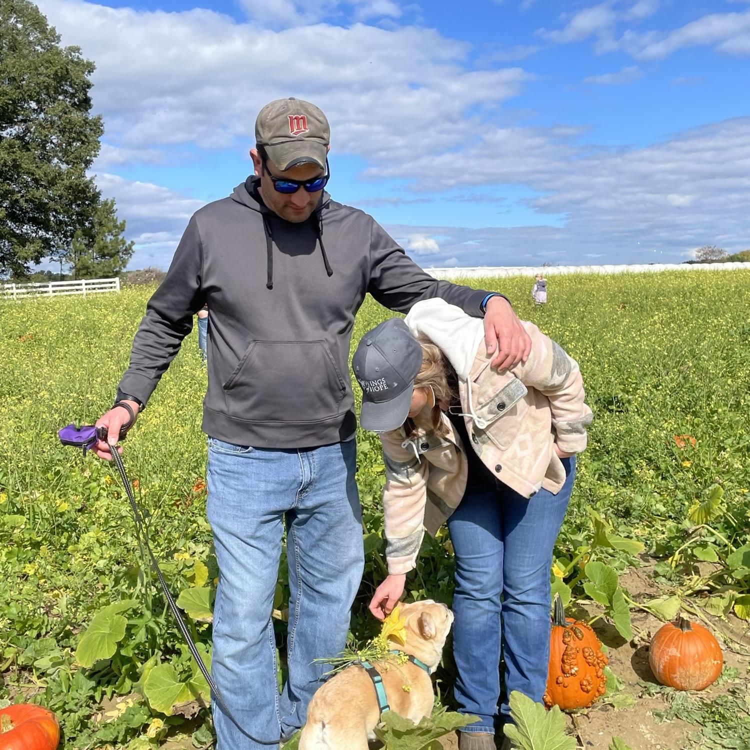 Pumpkin patch in Richmond