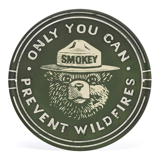 Only You Can Prevent Wildfires Sign Metal Tin Sign Home Outdoor Forest Wildfire Prevent Sign Campaign Fire Awareness Poster 12x12inch