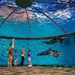Indianapolis Zoo