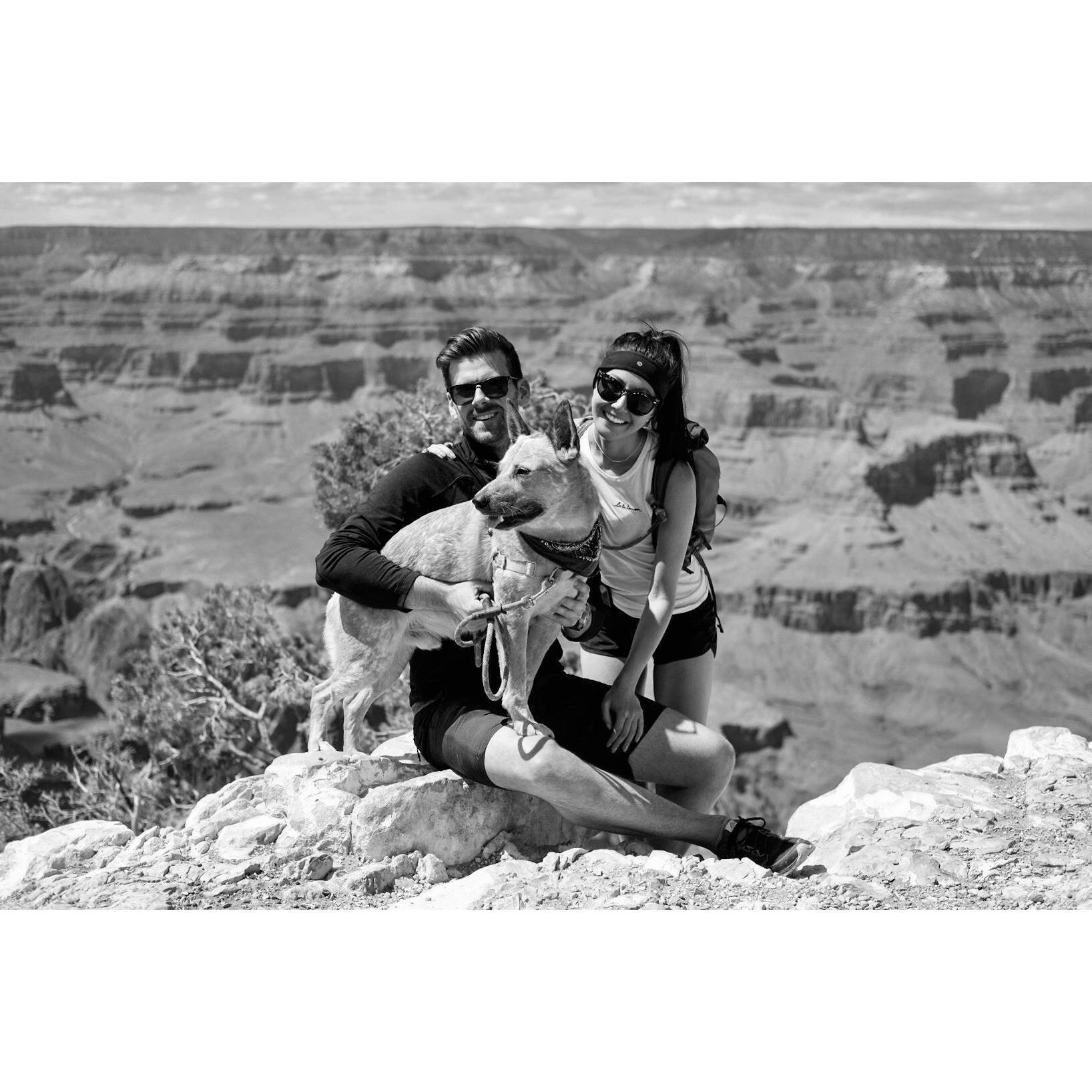 One of our many camping adventures with our wild dingo! This one was to Sedona and the Grand Canyon for MDW.