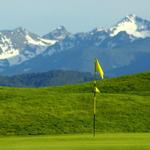 Golfing