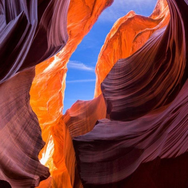 Grand Canyon Honeymoon