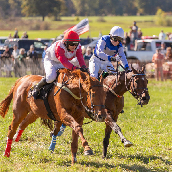 Barn and Fencing Fund