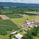 Barton Orchards