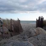 Blue Shutters Beach