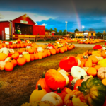 Roba Family Farms