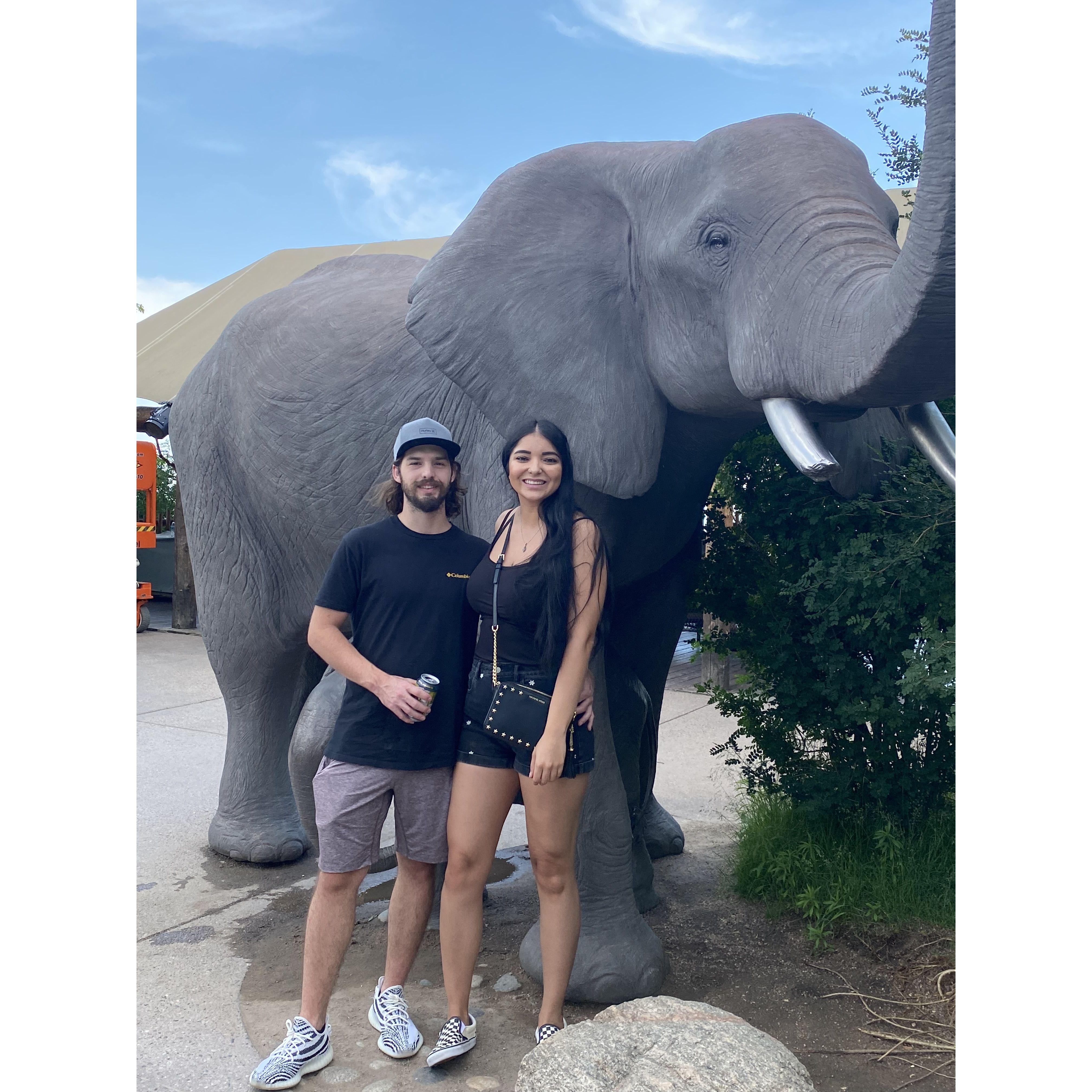 Cheyenne Mountain Zoo