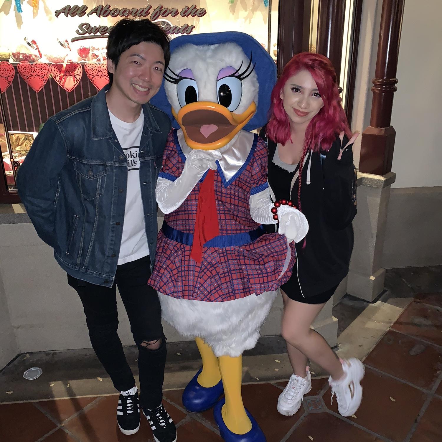Disneyland 2020