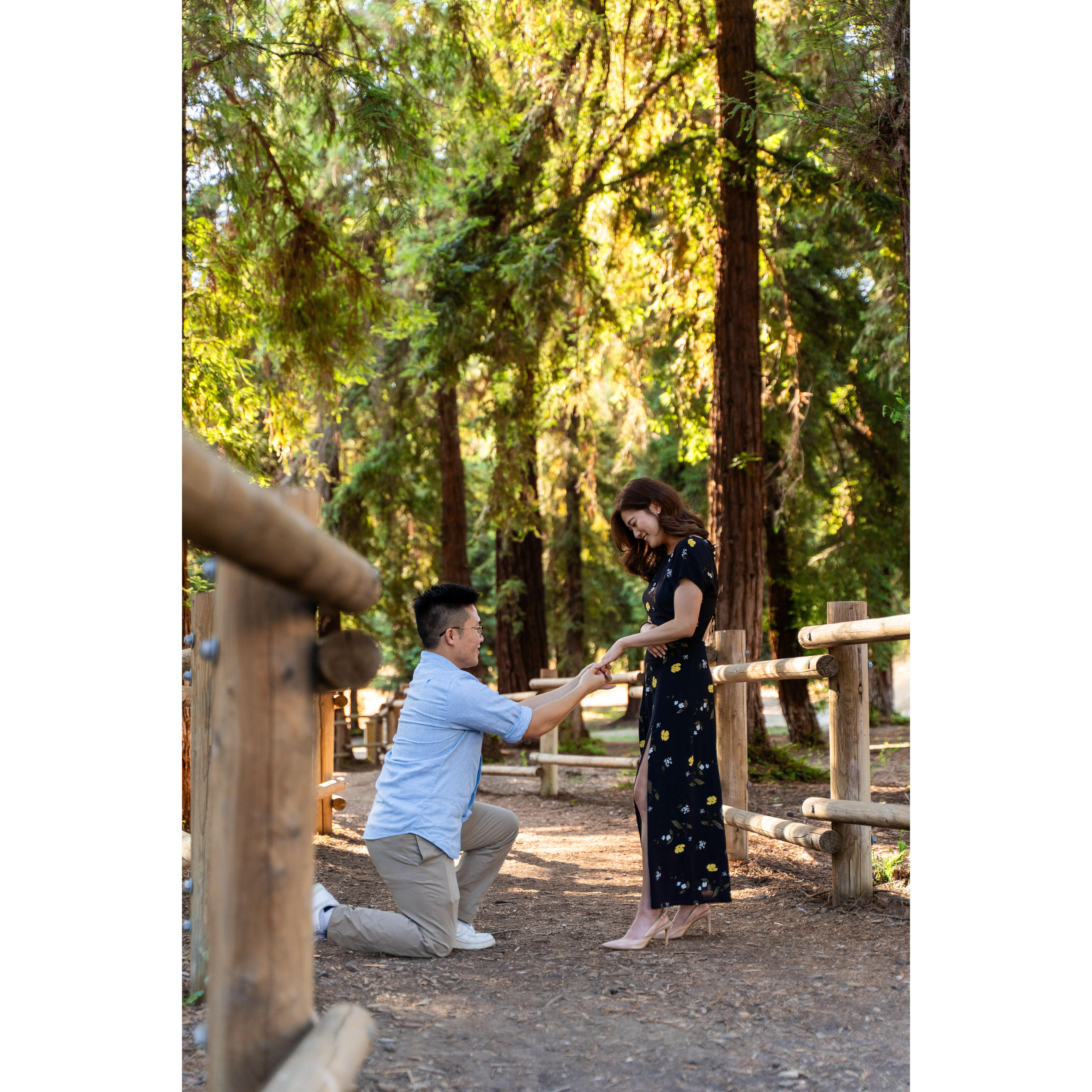 Until finally Scott proposed!! We have a video of this prepared for our wedding ;) it was very, very special