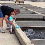 Decorah Fish Hatchery