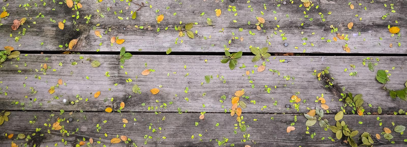 aed7b72e-faed-4798-ae6d-719b38a0ace2