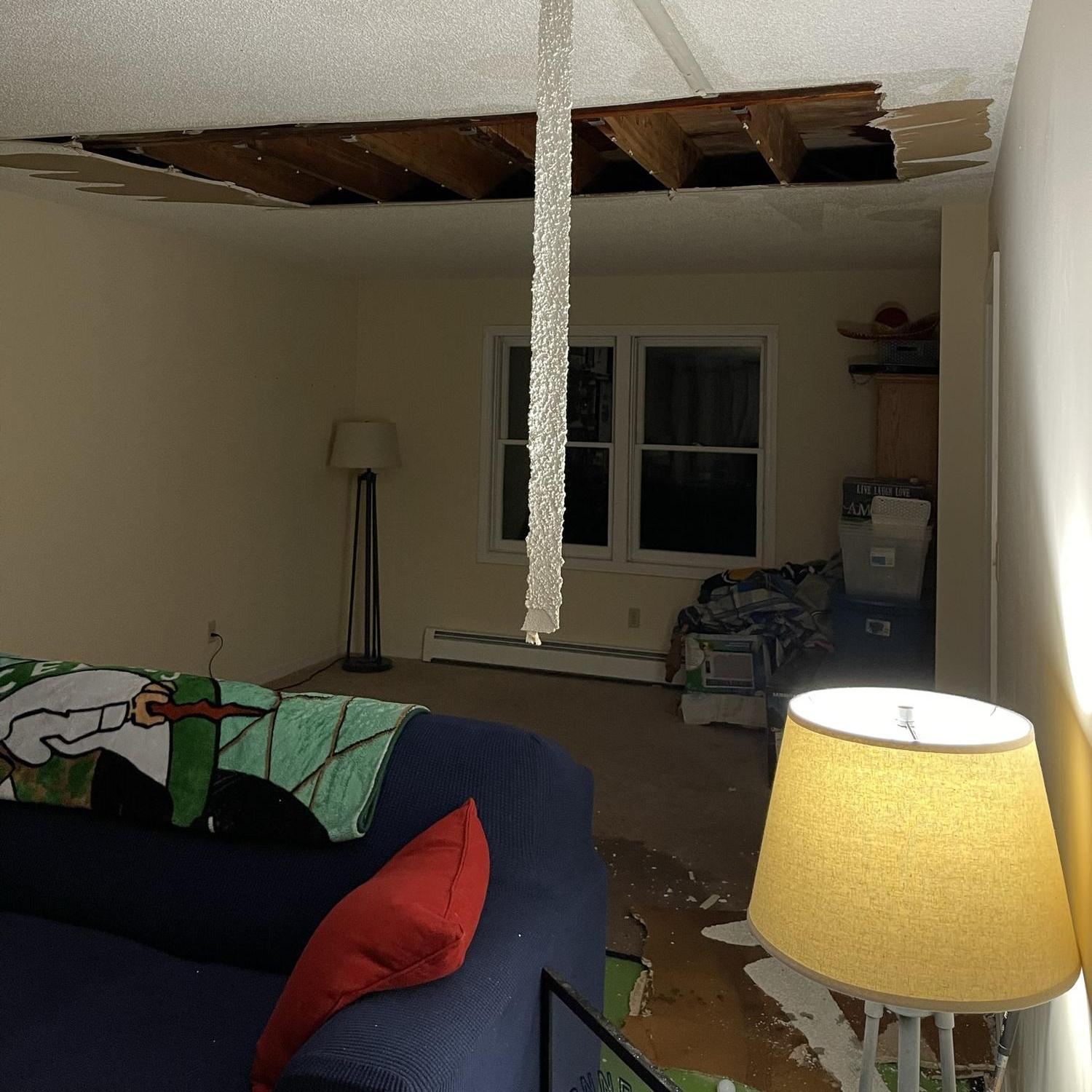 First Floor - Living Room - Water damage