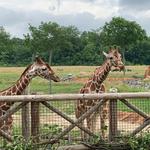 Columbus Zoo and Aquarium