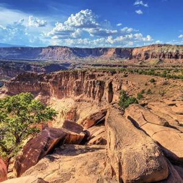 National Park Trip General Fund - Utah