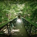 William B. Umstead State Park - Reedy Creek Entrance