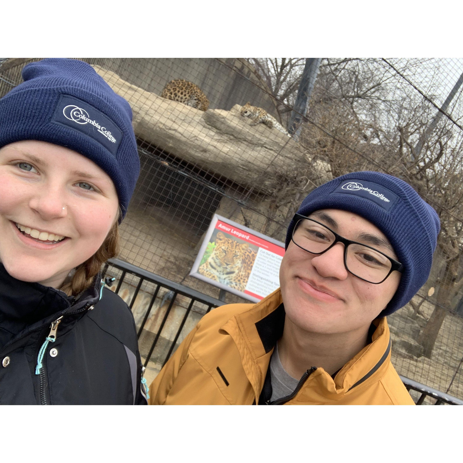 STL Zoo Trip