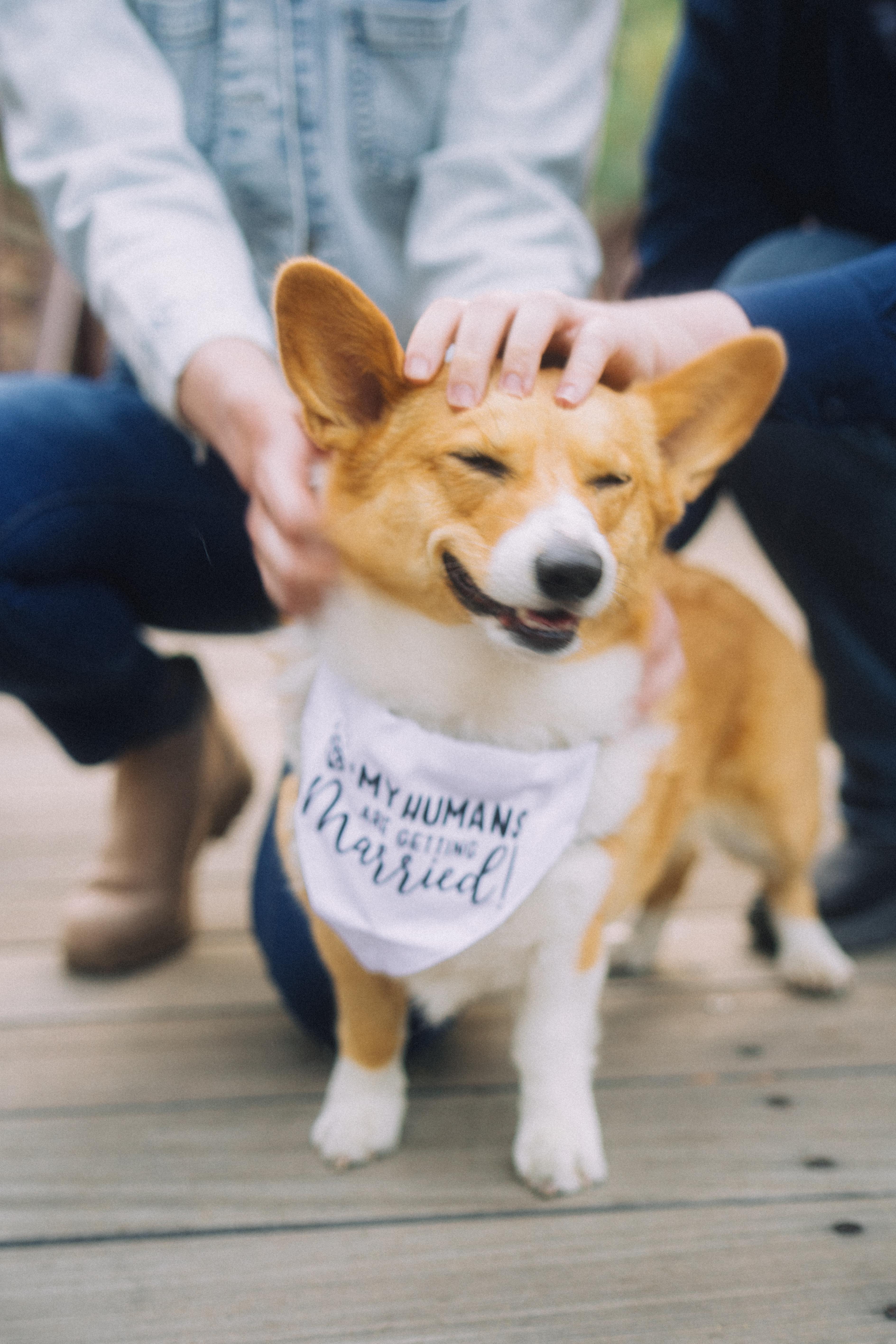 The Wedding Website of Haley Smith and Brayden Stowe