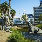 La Brea Tar Pits and Museum