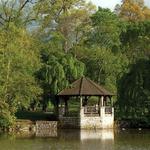 The Duck Pond