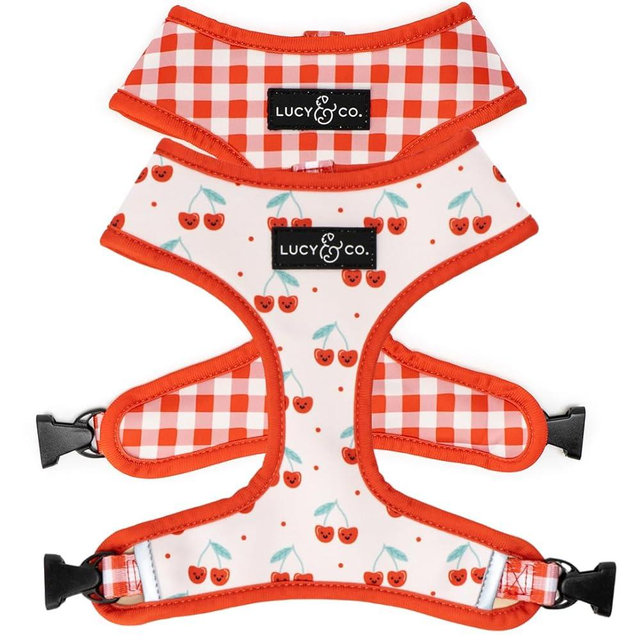 Lucy & Co. Cheery Cherries, Cute Reversible Dog Harness Walking Halter - Best Designer Pet Harnesses for XS - XL Dogs - Padded Adjustable Vest for Easy Walking (Large)