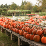 Great Country Farms