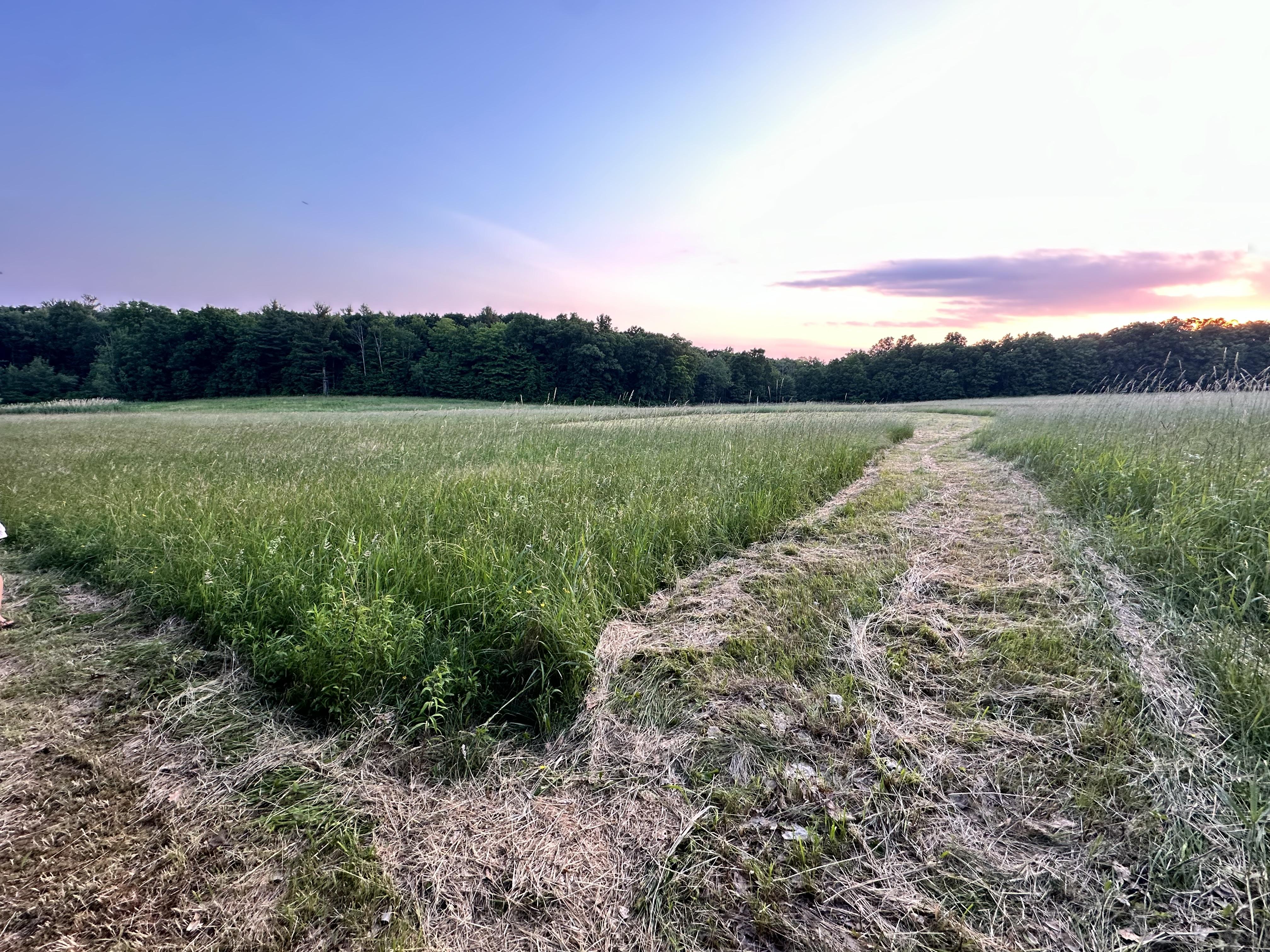 The Wedding Website of Stella Metzner and Rob Garrity