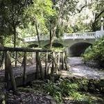 Dickson Azalea Park