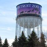 Detroit Zoo