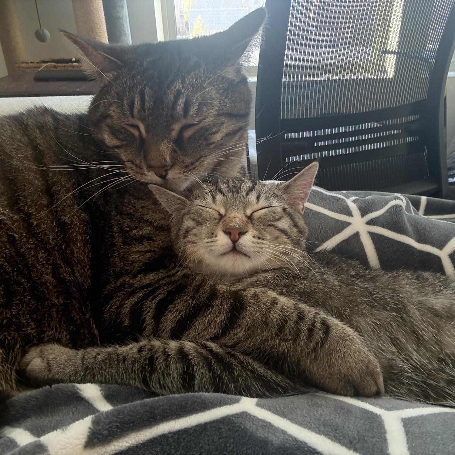 Kit and Ruth right after we moved to Boise