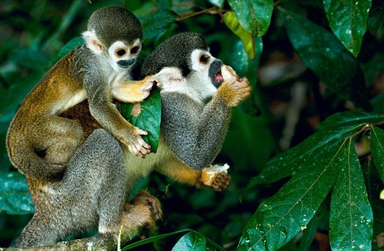 aee5dd6a-5c81-40a9-82a0-159213b4b1f8