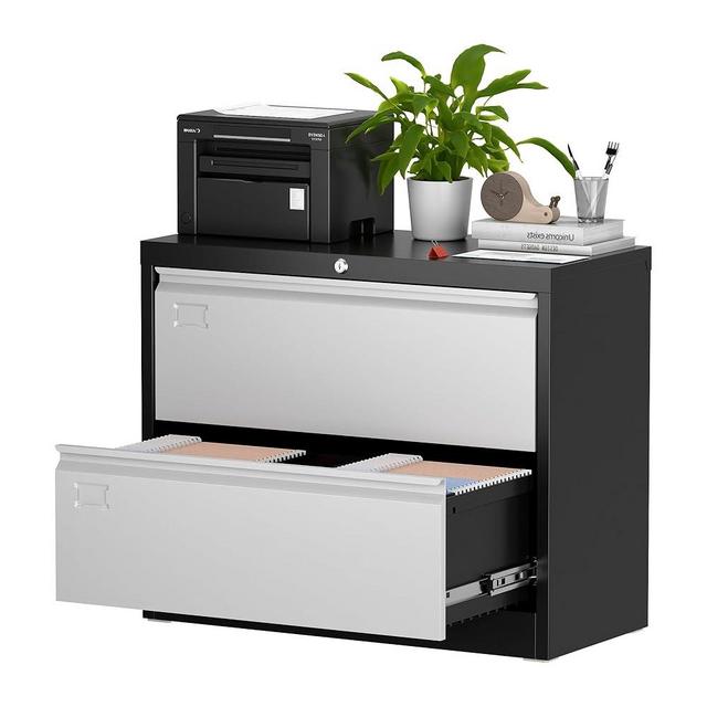 Aobabo 2 Drawer Wide Lateral File Cabinet, Lockable Metal Filing Cabinet with Name Card, Suitable for Home Office School Hanging Files Letter/Legal/F4/A4 Size,Black&Grey,Required-Assembly