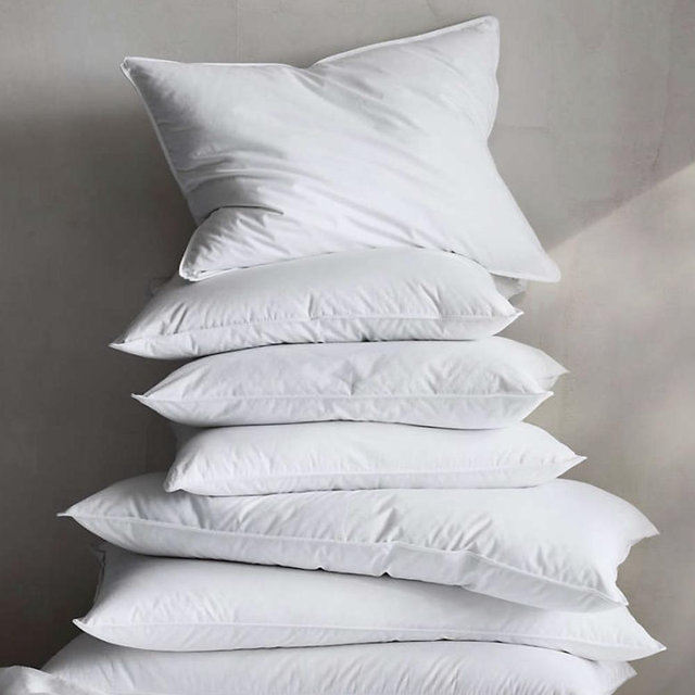 Essential Organic Cotton Down Feather Standard Sham Bed Pillow Insert