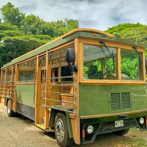 Trolly Tour around Hawaii