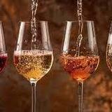 Wine Tasting @ Ferrer Bobet