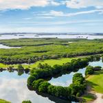 Saltleaf Golf Preserve