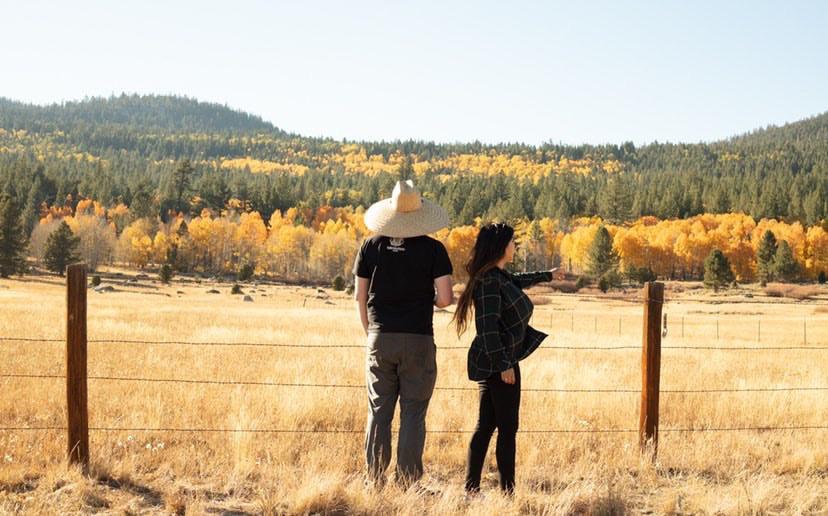 checking out the changing leaves near Tahoe, Fall 2020