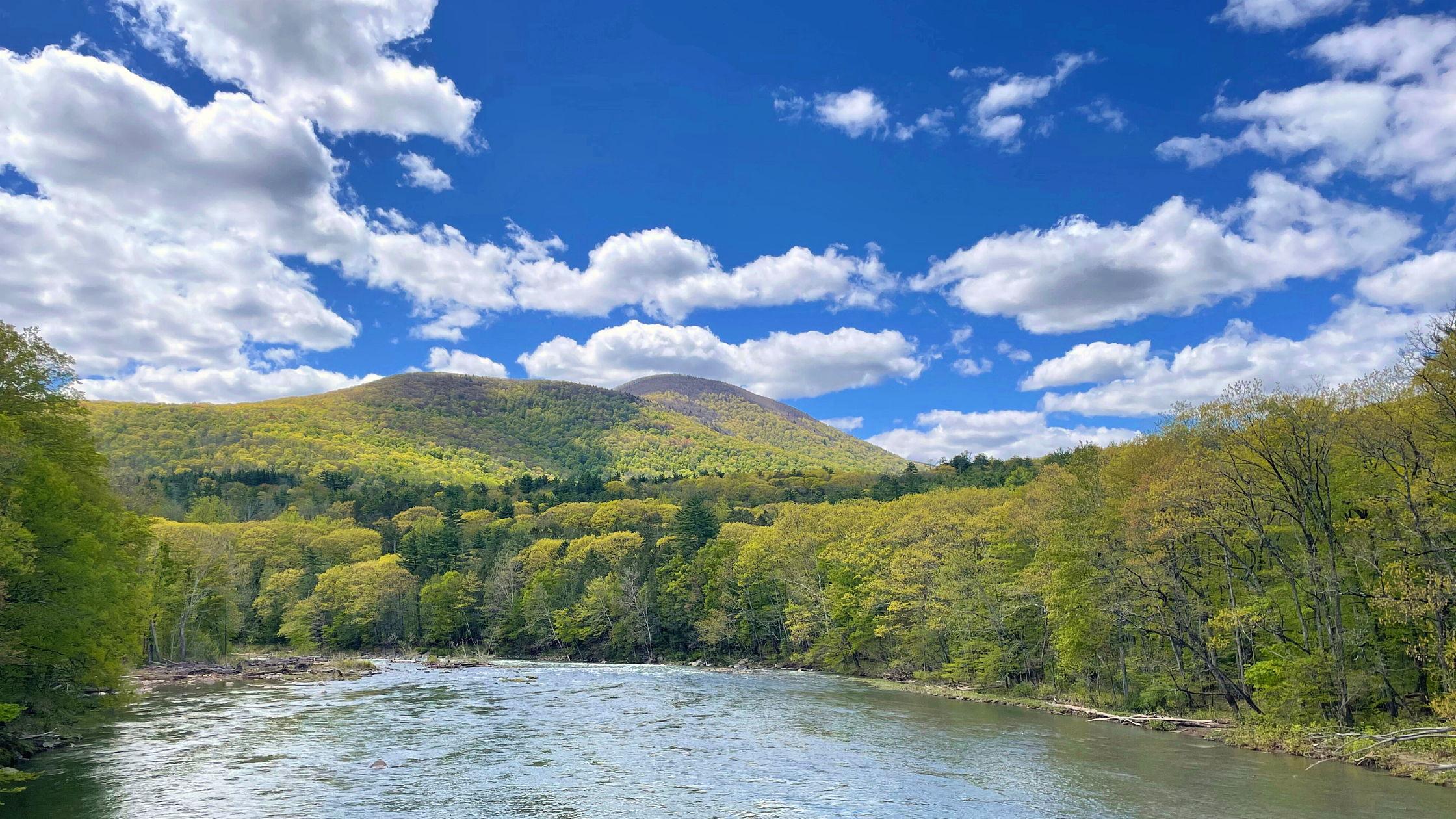 The Wedding Website of Jennifer Tierney and Dana Marie