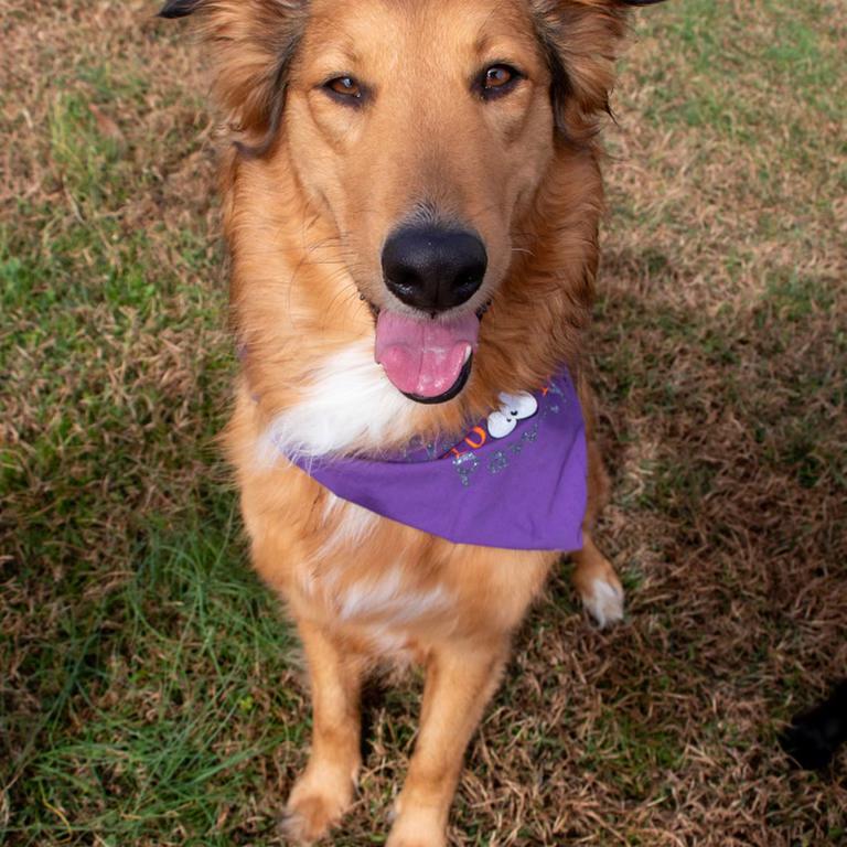 Bella