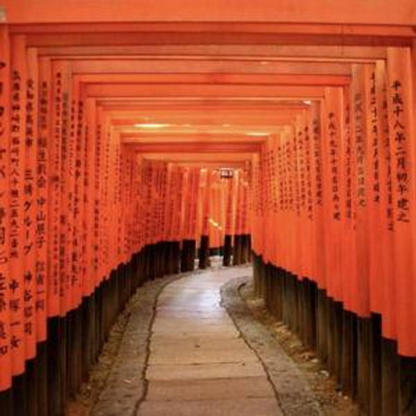 Honeymoon Sightseeing
