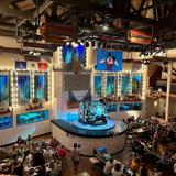 Organ Stop Pizza
