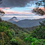 Monteverde
