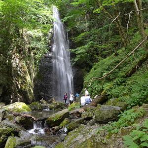 Okutama Forest Bathing Tour